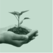 Eco-friendly organic agro products for sustainable farming – available at akorr. High-quality organic farming essentials from Akorr – promoting sustainable agriculture